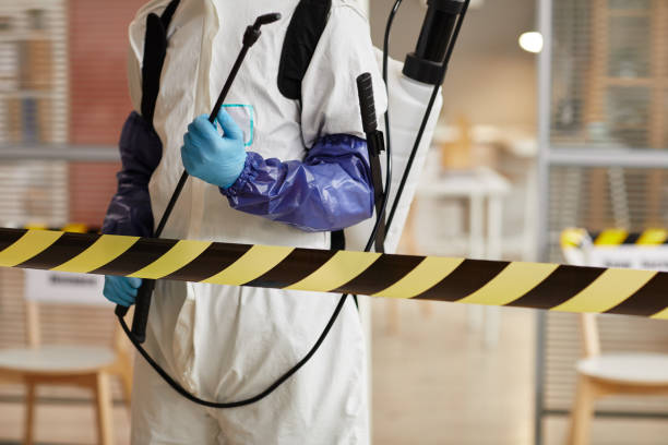 Professional Sewage Cleanup technician working in Emerson, NE